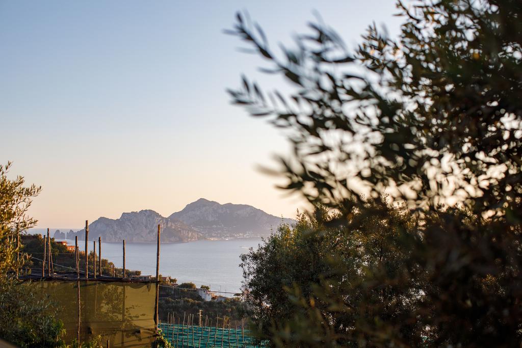 Il Nido Del Gabbiano Appartement Massa Lubrense