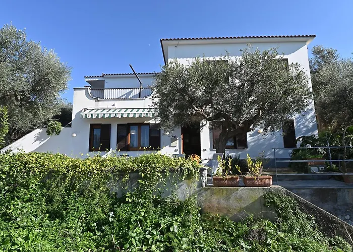 Il Nido Del Gabbiano
