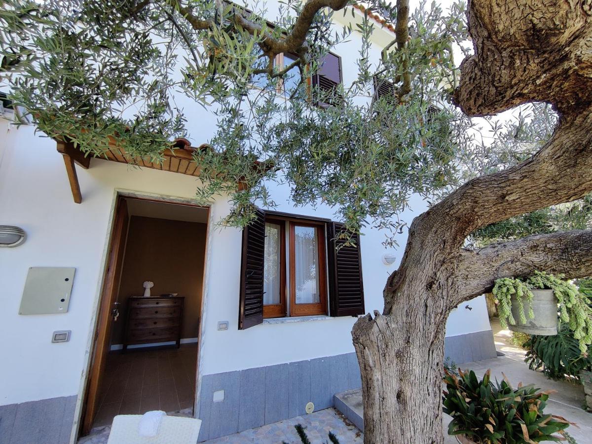 Apartment Il Nido Del Gabbiano Massa Lubrense