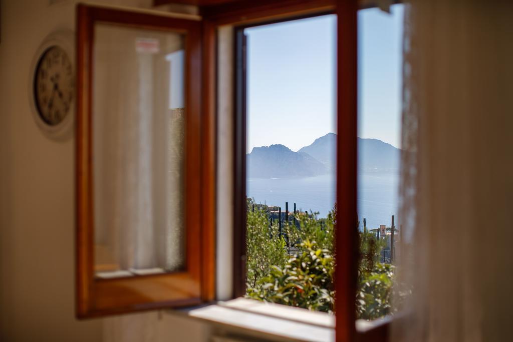 Il Nido Del Gabbiano