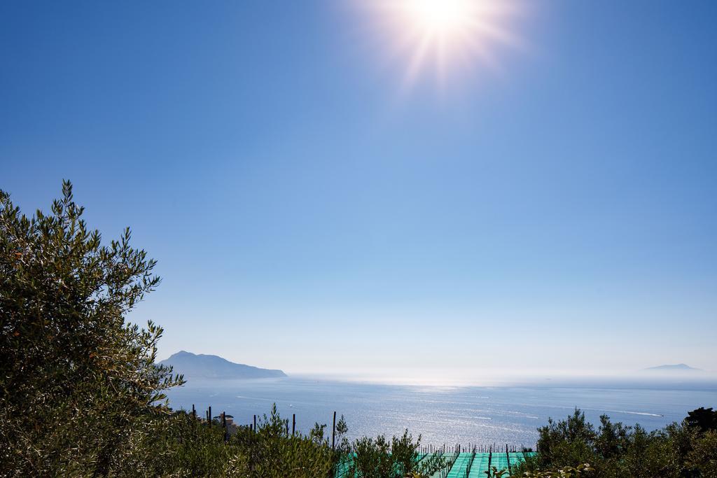 Il Nido Del Gabbiano Apartment